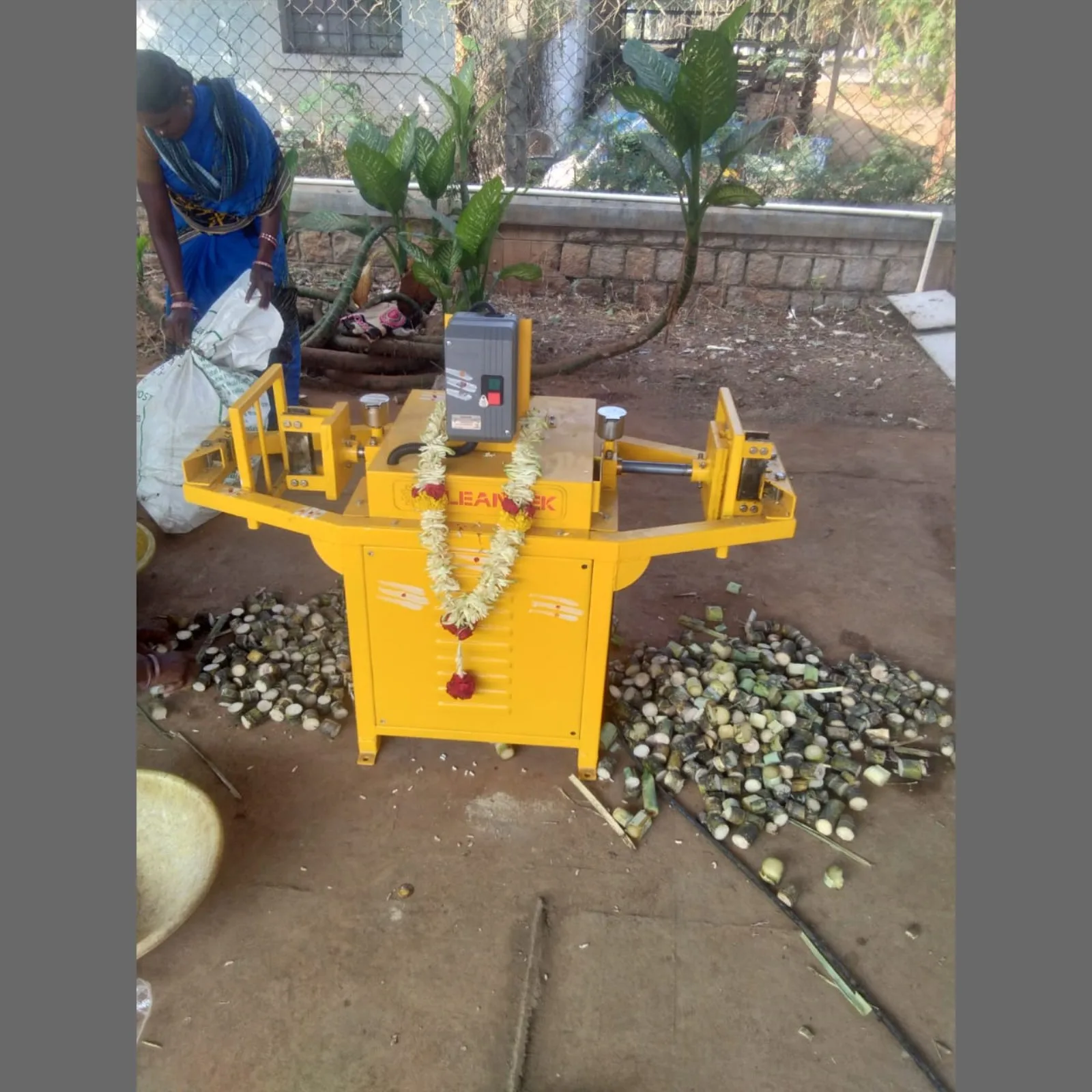Sugarcane Bud Cutting machine